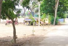 హైస్కూల్ ప్రాంగణంలోని కూలిన వృక్షం… ఎవరి సొత్తు?