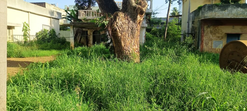 మండల కార్యాలయాలా… మృత్యు ఉచ్చులా .!