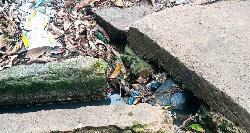 అరవపేటలో డెంగ్యూ భయం