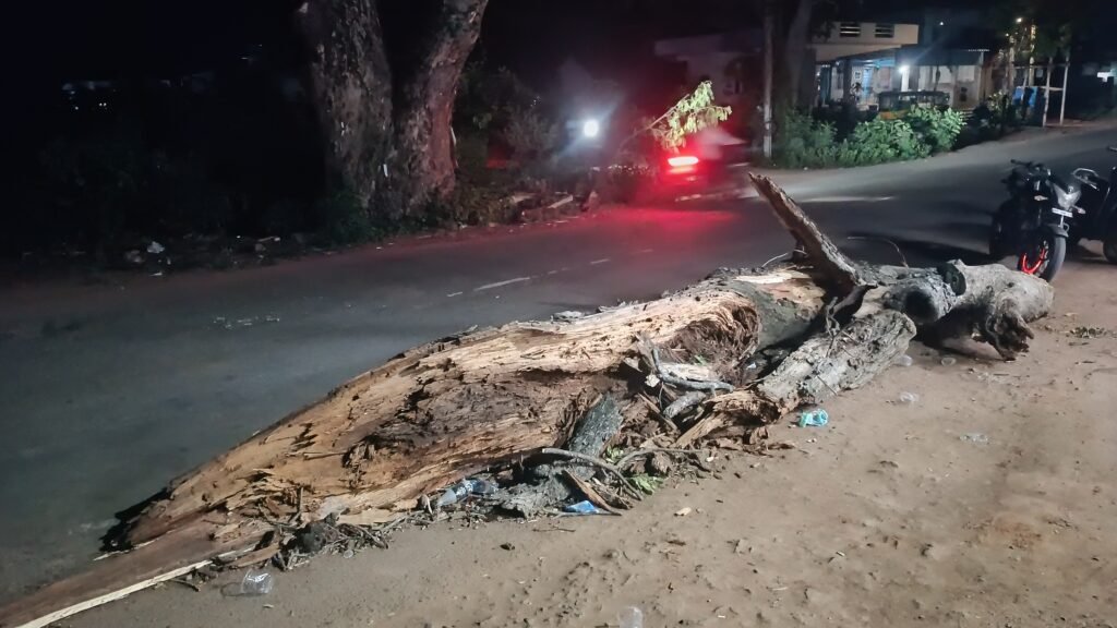 భారీ వృక్షం కొమ్మ విరిగి.. ప్రమాదం తప్పింది