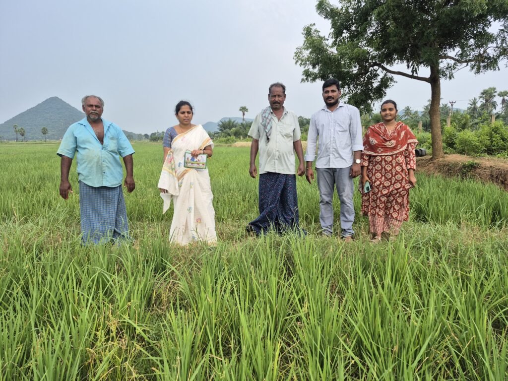 ఈ-పంట సూపర్ చెక్.. వరి పొలాల సందర్శన