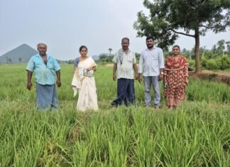 ఈ-పంట సూపర్ చెక్.. వరి పొలాల సందర్శన